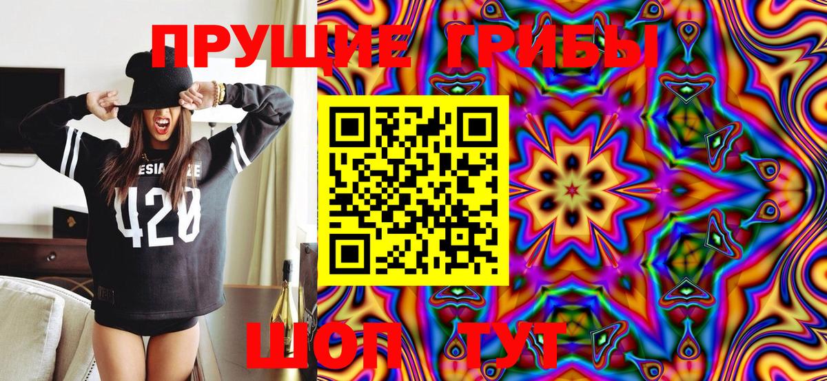 Псилоцибиновые грибы MAGIC MUSHROOMS Жуковский