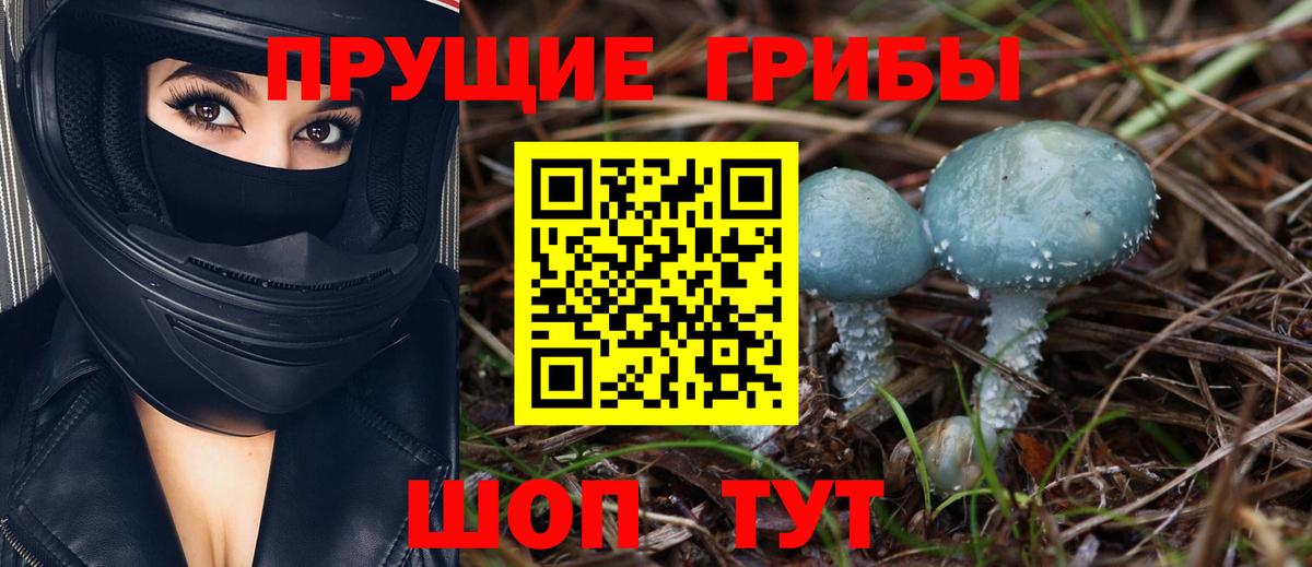 Псилоцибиновые грибы GOLDEN TEACHER  Галлюциногенные грибы GOLDEN TEACHER  Жуковский  Вход с VPN 